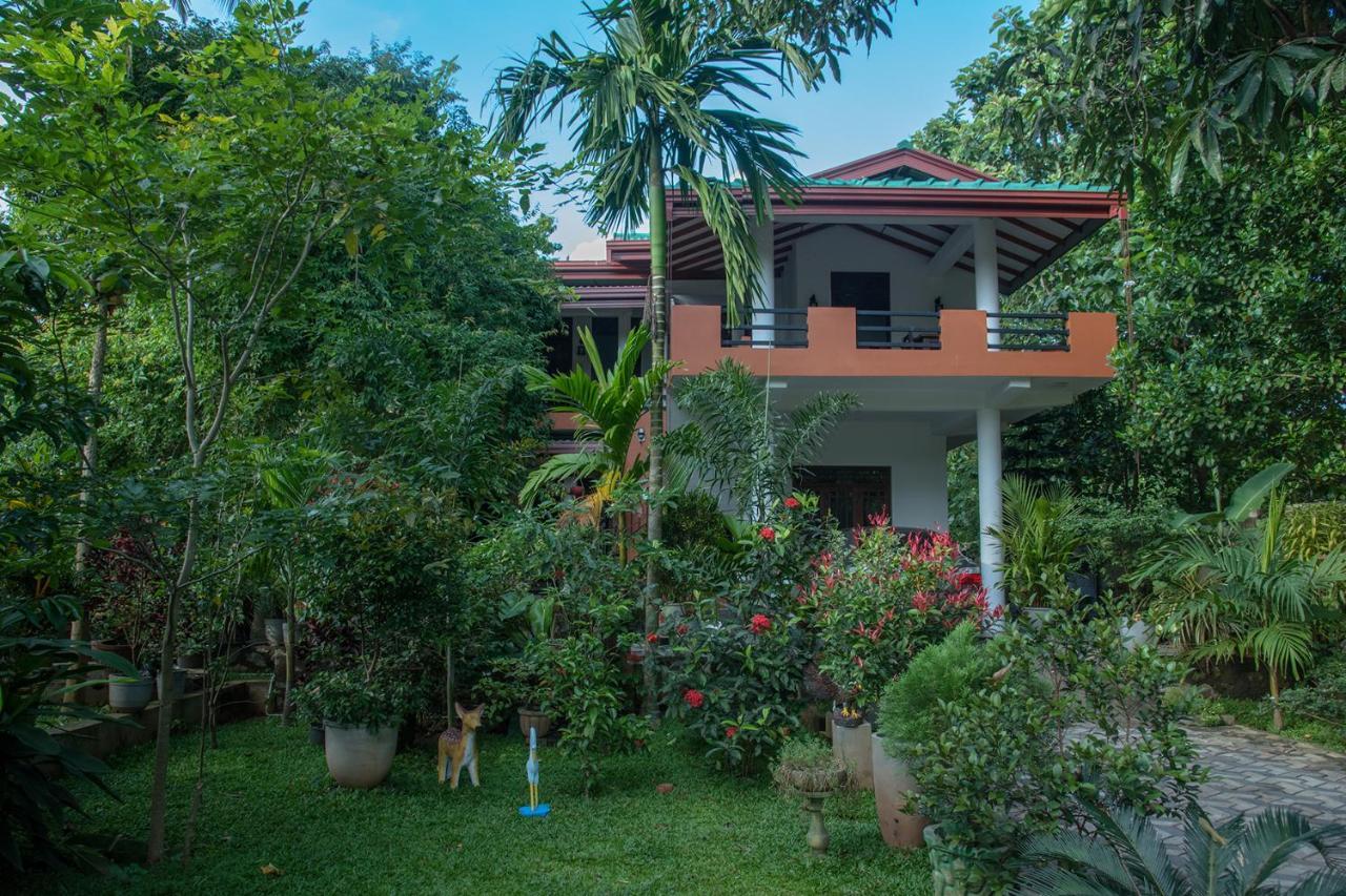 Sadee'S Place ดัมบูลลา ภายนอก รูปภาพ